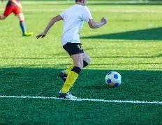 黎姿携三女,郊游,感激张柏芝,28圈网页版,28圈网页版官网,28圈H5网页版,28圈app官网进入