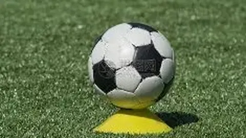 科技体育交融盛典：钟南山院士携手明星球员助力南山挑战杯