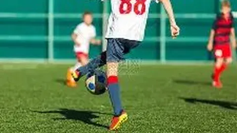 28圈网页版官网 资讯 103352 oc3