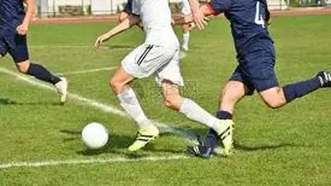 28圈网页版官网 资讯 102737 lb8